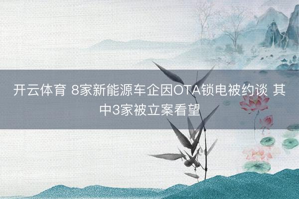 开云体育 8家新能源车企因OTA锁电被约谈 其中3家被立案看望