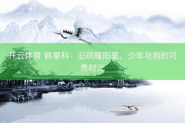 开云体育 韩攀科：旧院暖阳里，少年与狗的可贵时光