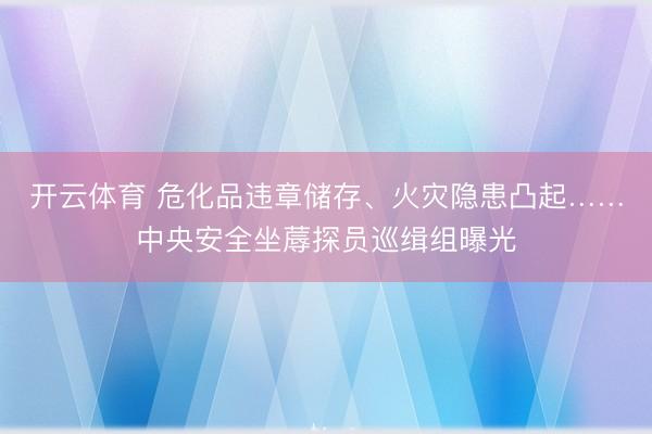 开云体育 危化品违章储存、火灾隐患凸起……中央安全坐蓐探员巡缉组曝光